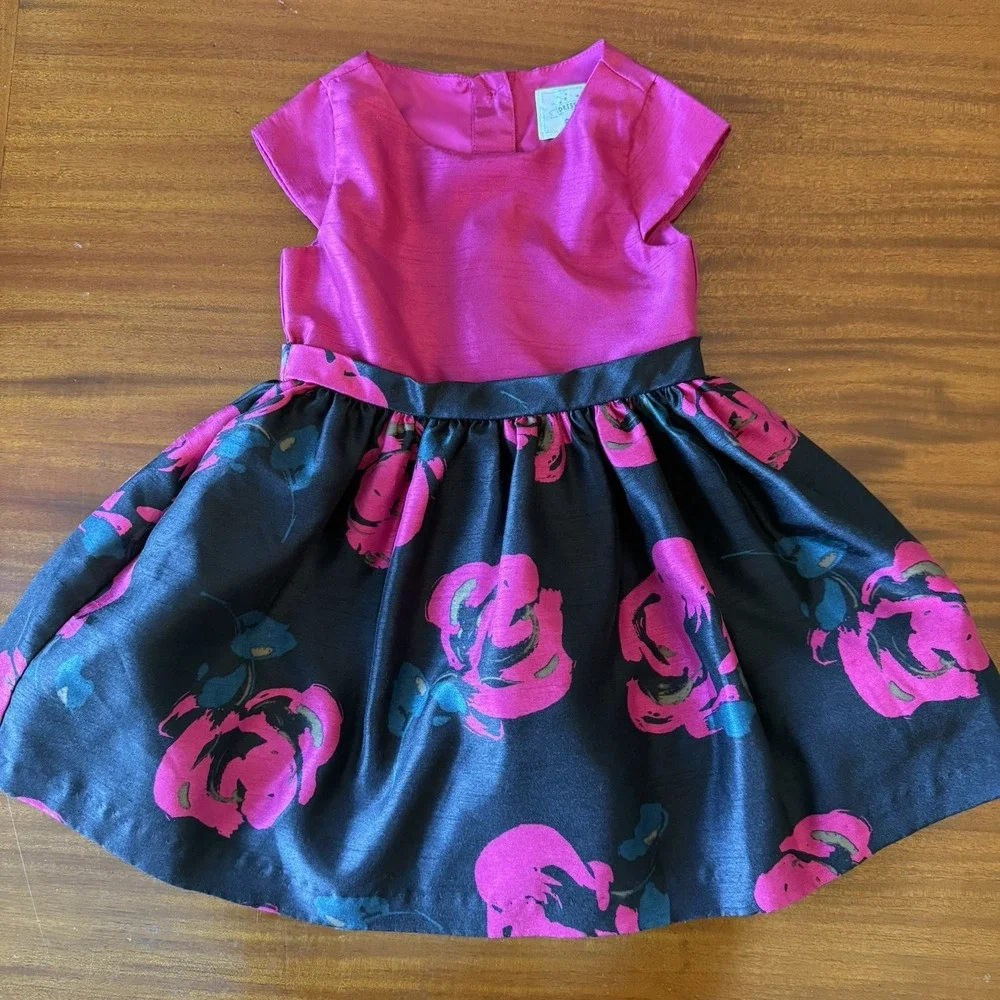 Lot of 2 Gymboree Dressed Up Dresses Girls‎ 2T Holiday Floral Blue Green, Black